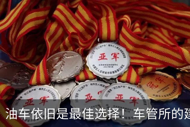 油车依旧是最佳选择！车管所的建议让人深思